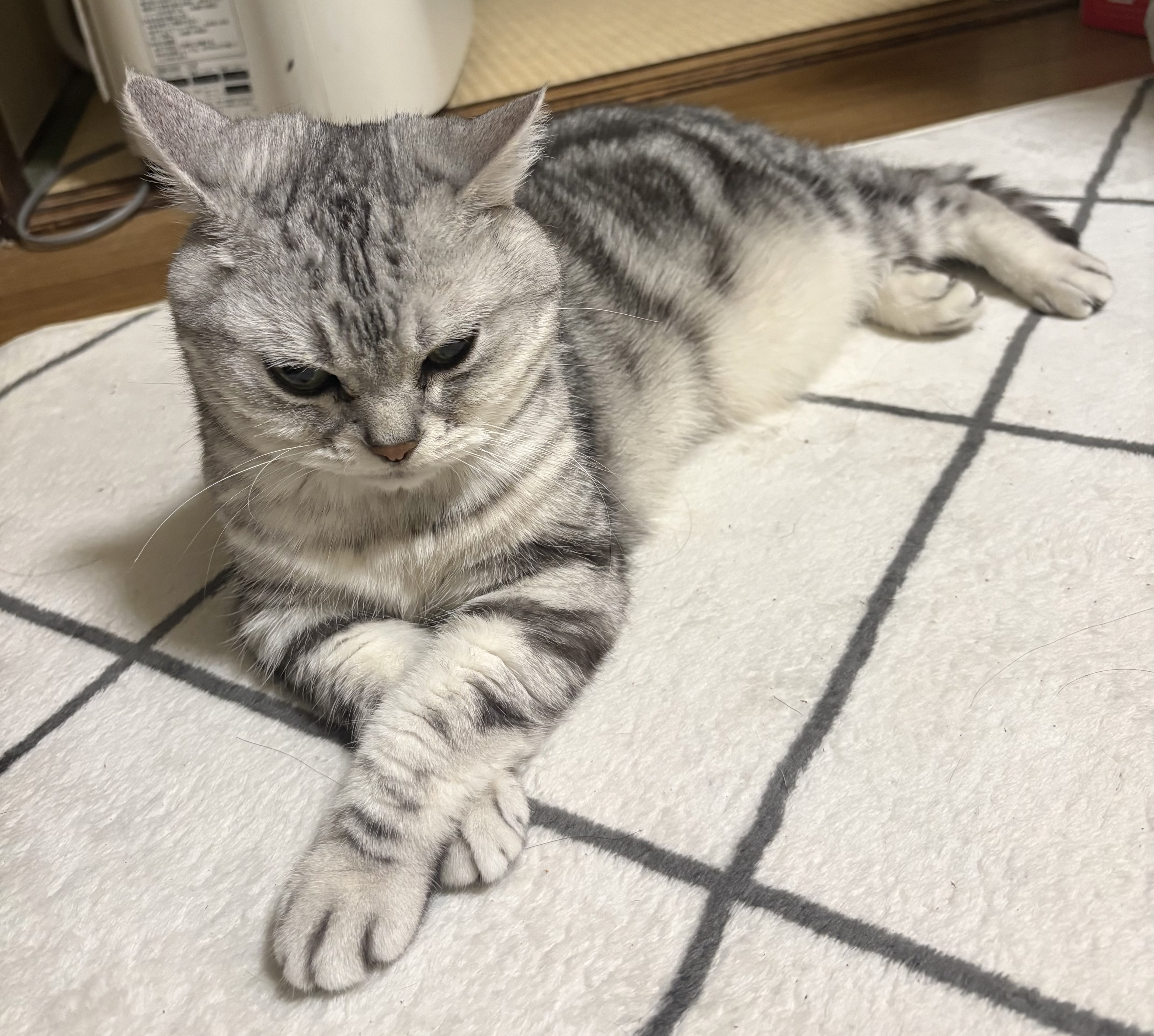日常に、ほっとひと息つける時間を